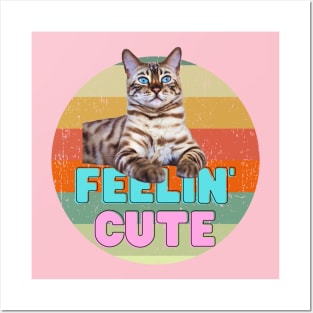 Feelin' Cute (cat) Posters and Art